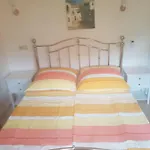 Casa Zorro アパート